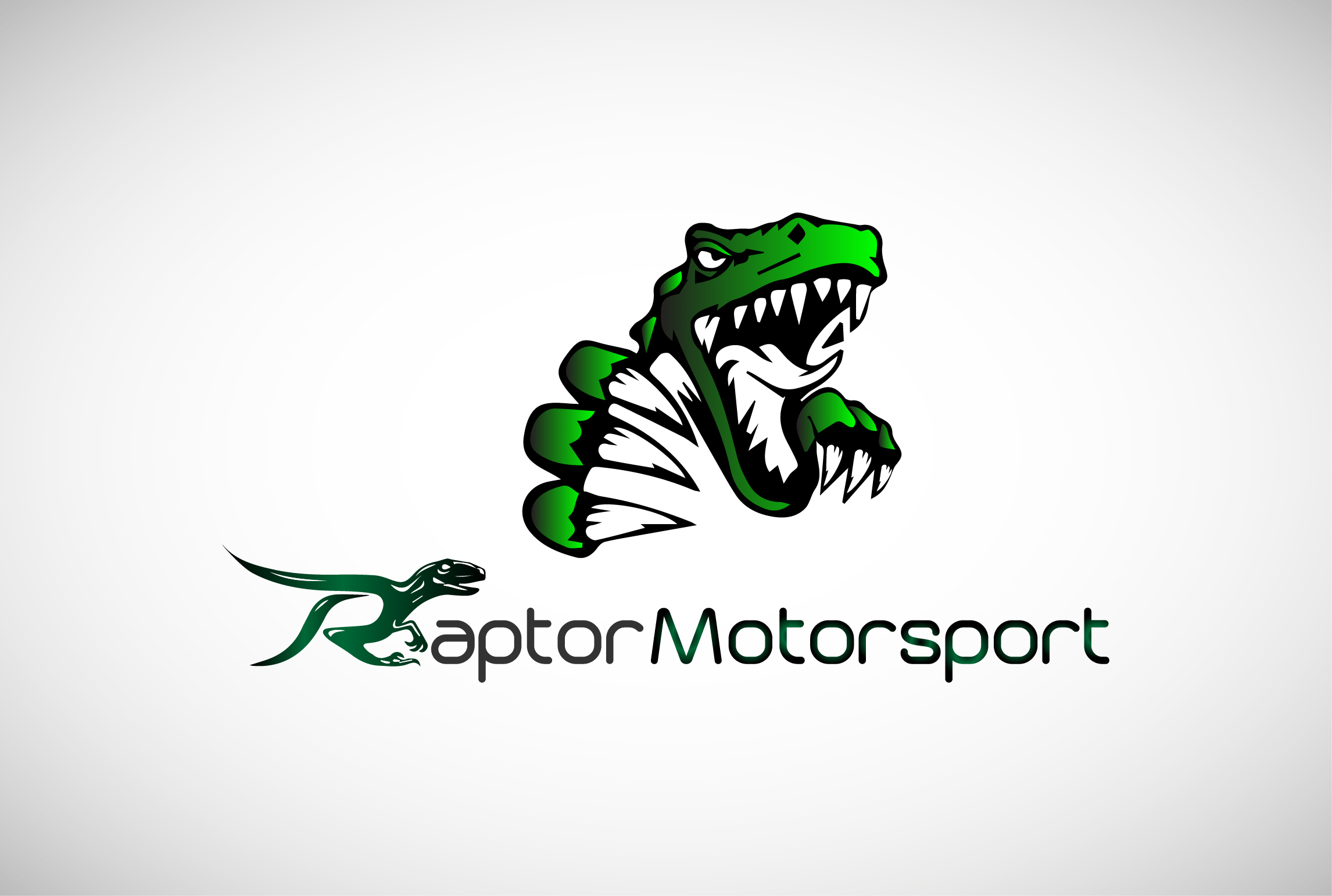 Raptor MotorSport